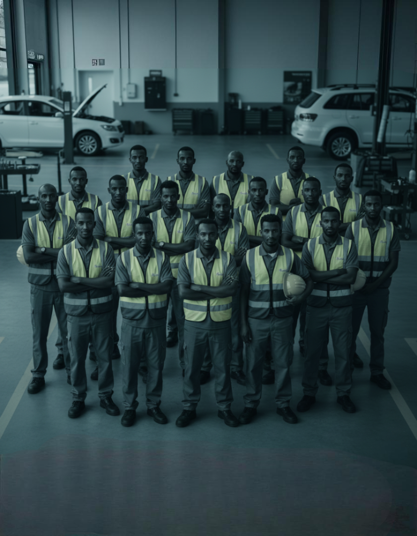 Ted Professional Staffing