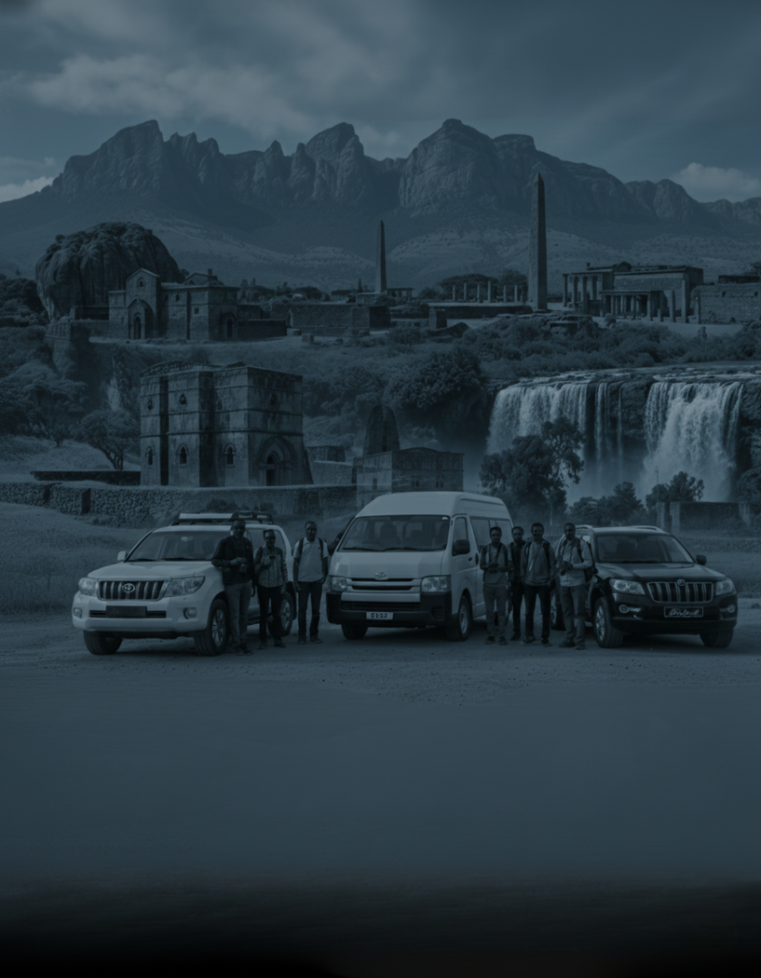 Ted Tour Sector Assistance